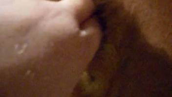 Man stimulating a female dog's vagina from the rear, in close-up view