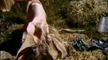 Hot women have sex with a pig in mutual bestiality XXX scenes