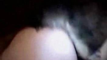Hectic dog fuck video with a horny-looking amateur