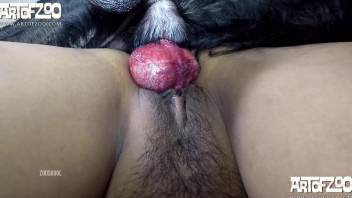 Hairy pussy hottie gets drilled by a black dog