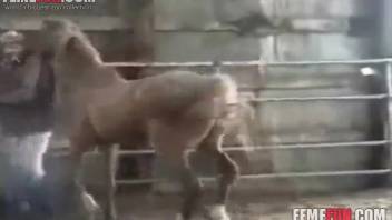 Stallion with a massive cock screwing an even more aroused guy
