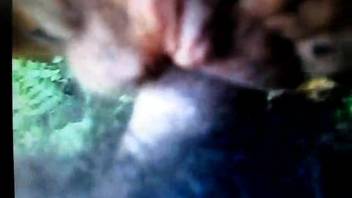 Guy screwing a beast's butthole doggy style
