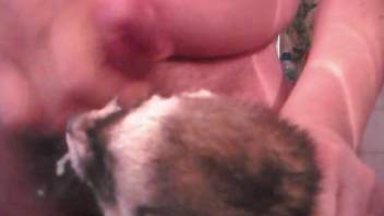 Dude desperately wants to give this ferret a facial