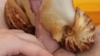 Two snails doing sexy things to this guy's penis