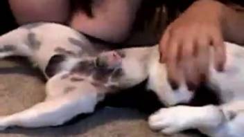 Busty dark-haired woman playing with a canine cock