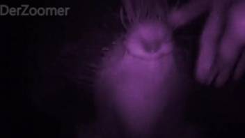 Incredible sex session with intimate close shots and atmospheric illumination
