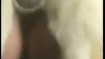 Voluptuous dark-haired woman with real breasts gets pounded intensely