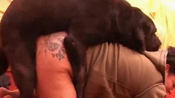 Chubby amateur with tattoos gets fucked by her loyal dog