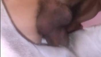 Intense vaginal stretching romp with a well-hung stud