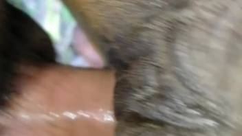 Guy with an erect dick thrusting into a snug beast's vagina