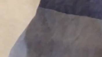 Pair of snails gliding over this guy's stiff dick