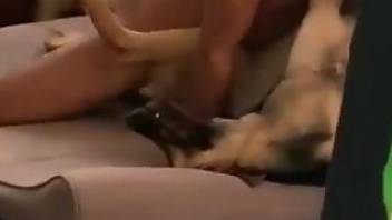Sexy doggo getting drilled in a passionate way