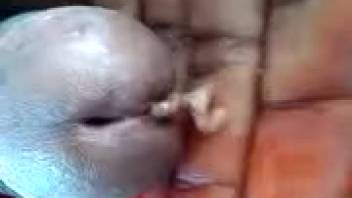African American guy masturbates in filthy webcam clips featuring worms inserted into his penis