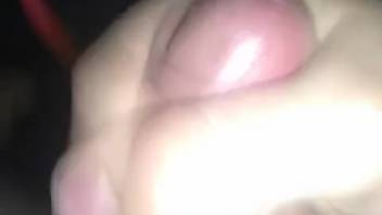 Furry-dicked guy receiving satisfaction from a canine in point-of-view