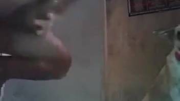 Sly guy sliding into the pooch's snug tiny slit