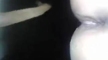 Anal supremacy featuring an extremely alluring beast