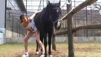 Fornicatress gets fucked by horse and mouth full of its cum