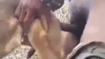 Guy pounding a canine's tasty vagina on camera