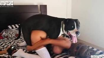 Two Latina GFs come together to fuck dogs and have fun