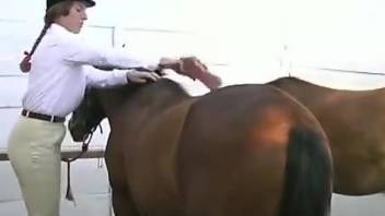 Horsewoman gets horny and fucks a well-endowed stallion