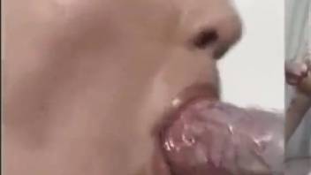 Delicious canine dick satisfied by a dark-haired vixen
