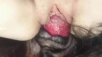 Scarlet hosiery vixen being pounded like a steamy slut