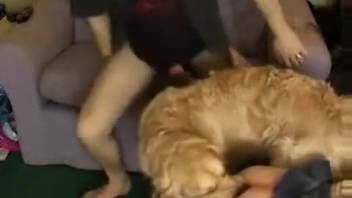 Canine disrupts people screwing each other for no reason