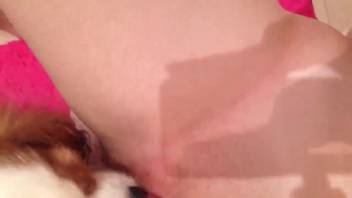 Shaved bestiality cunt lapped by a hot pup