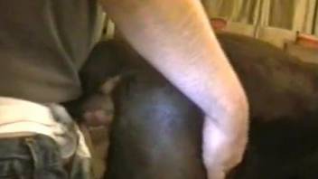 Unholy boy decided to poke dog's vagina with cock