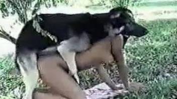 Dog owns mistresses' pussies from behind in zoophile video