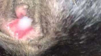 Guy with a furry dick ravaging a monster's snug ass