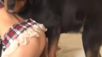Beast-obsessed teen girl is set to be ravaged intensely