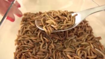 Petite Hispanic girl inserts a huge load of worms internally