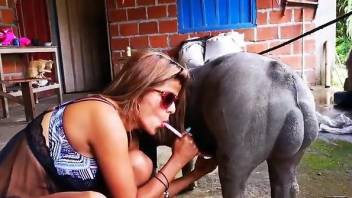 Sexy slut in shades shows her lust for horny pigs