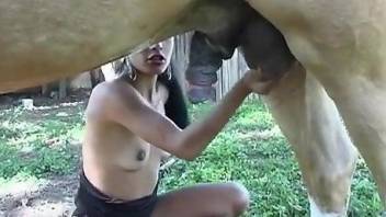 Horse cock pleasuring video with a cute brunette
