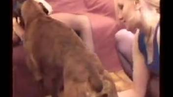 Ladies instruct obedient pup to lap up cunts