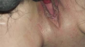 Masked blonde babe presents her cunt to a hot canine
