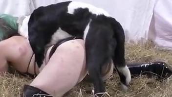 Oozing cunt gets fucked in a savage bestiality vid