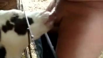 Aroused guy exchanges passionate blowjob experiences with a just-legal teen