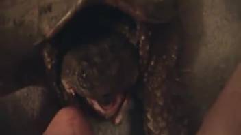 Guy's dick is about to be satisfied by a turtle