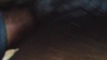Hot vixen gets pounded by an attractive cock
