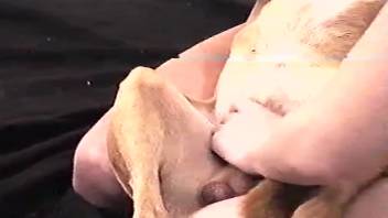 Manual stimulation and oral pleasure for an extremely aroused canine