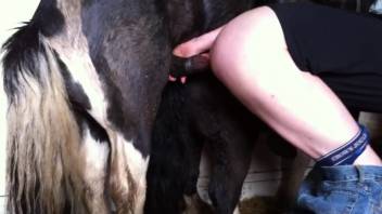 Bouncy-butted beast lover savoring a stallion's enormous dick