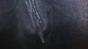 Dripping pussy being fucked by a lustful man