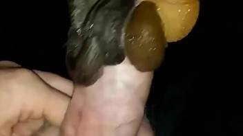 Snails swarming this dude's dick in a POV video
