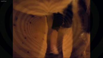 Stunning woman deepthroats the massive horse dick before attempting intercourse