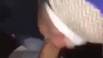 Blindfolded spouse takes canine dick in place of human penis