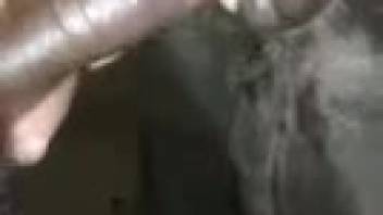 Guy is thrilled to shove his dick into a female horse's snug opening