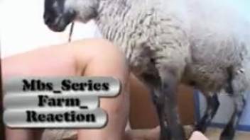 Incredible adult film featuring a sexy woman who bangs sheep