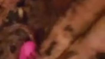 Hot lady incorporates worms to add excitement to her naughty session